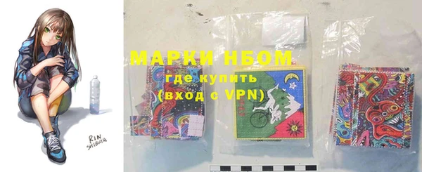 стаф Осинники