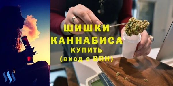 тгк Пестово