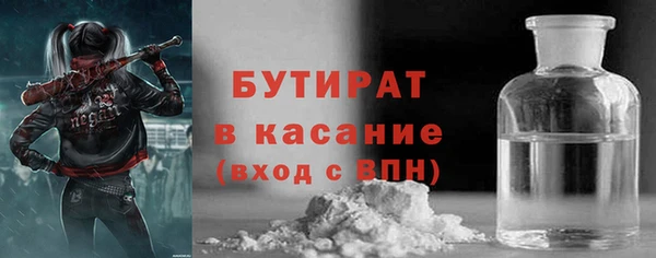 прущие грибы Вязьма