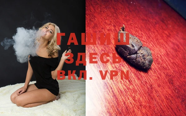 стаф Осинники