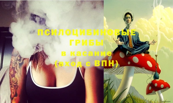 стаф Осинники