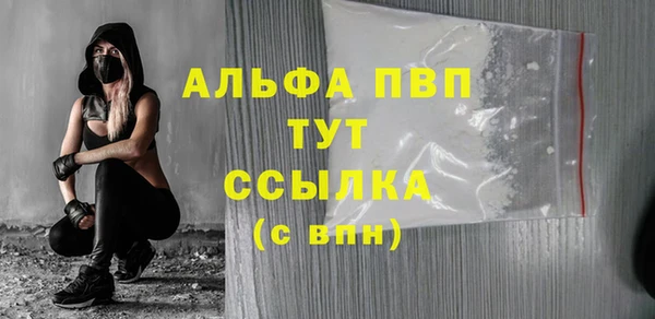 стаф Осинники